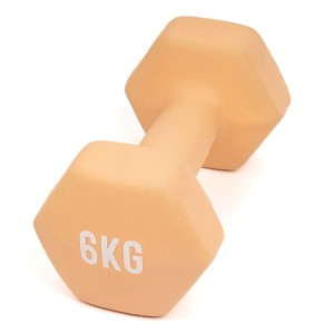 Hantle fitness myga Dumbbell - 6kg 1 sztuka
