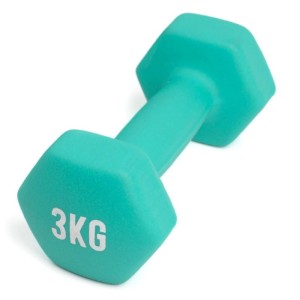 Hantle fitness myga Dumbbell - 3kg 1 sztuka