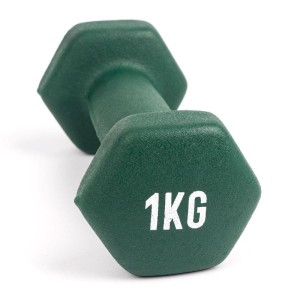 Hantle fitness myga Dumbbell - 1kg 1 sztuka